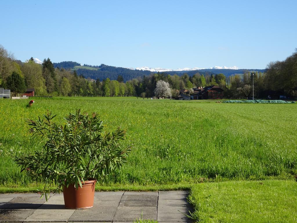Apartment Neumuehleweg 19 Lauperswil